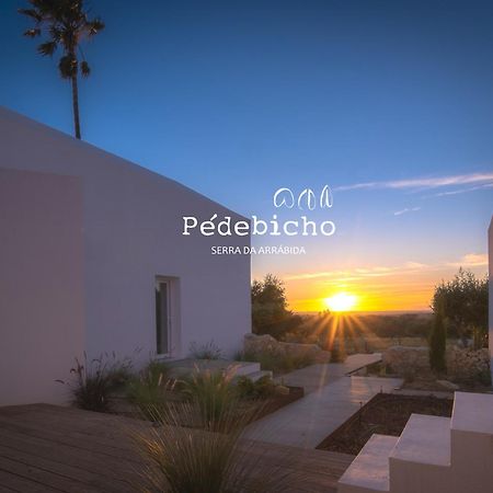 Pedebicho Serra Da Arrabida Country Inn And Studios Azeitao Exterior photo